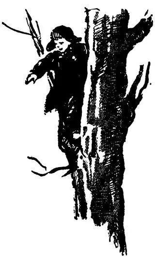 Севка прохаживаясь под деревом тоже умирал от нетерпения и любопытства Что - фото 38