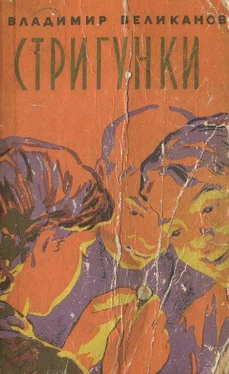 Владимир Великанов Стригунки обложка книги