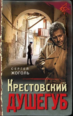 Сергей Жоголь Крестовский душегуб обложка книги