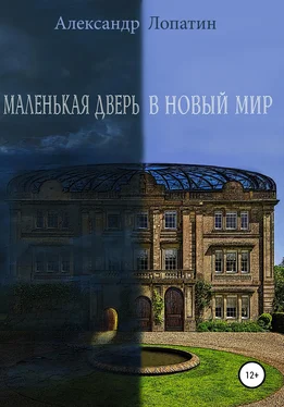 Александр Лопатин Маленькая дверь в новый мир обложка книги