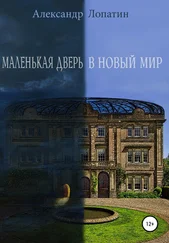 Александр Лопатин - Маленькая дверь в новый мир