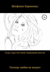 Штэфэнел Евронимус - Годы страстей моей священой юности