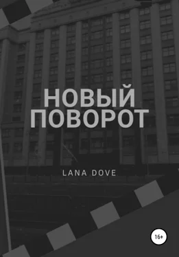 Lana Dove Новый поворот обложка книги