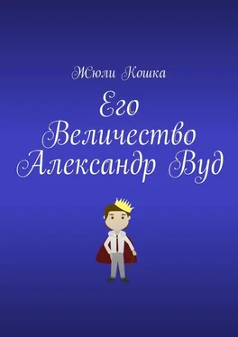 Жюли Кошка Его Величество Александр Вуд обложка книги