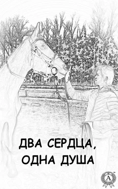 Ника Соколовская Два сердца, одна душа обложка книги