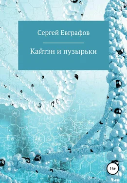 Сергей Евграфов Кайтэн и пузырьки обложка книги