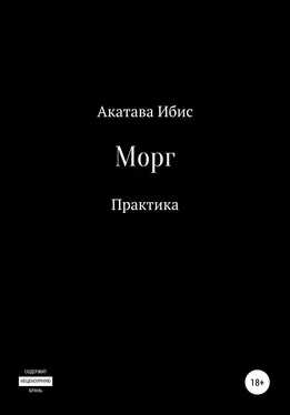 Акатава Ибис Морг. Практика обложка книги