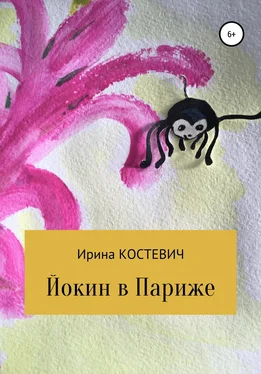 Ирина Костевич Йокин в Париже обложка книги