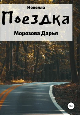 Дарья Морозова Поездка обложка книги