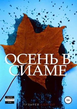 Сергей Пузырев Осень в Сиаме обложка книги