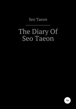 Seo Taeon The Diary Of Seo Taeon обложка книги