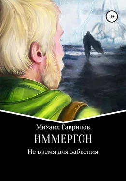 Михаил Гаврилов ИММЕРГОН. Не время для забвения обложка книги