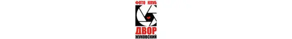 В 2009 году несколько увлеченных фотографов решили организовать в Жуковском - фото 19