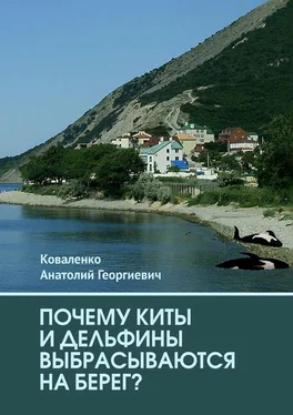 Анатолий Коваленко Почему киты и дельфины выбрасываются на берег? обложка книги