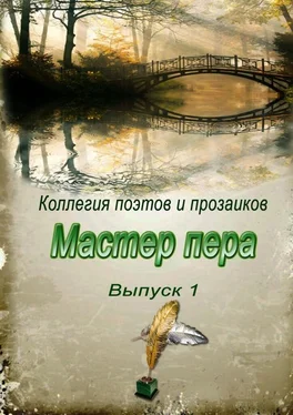 Эльвира Шабаева Мастер пера. Выпуск 1 обложка книги