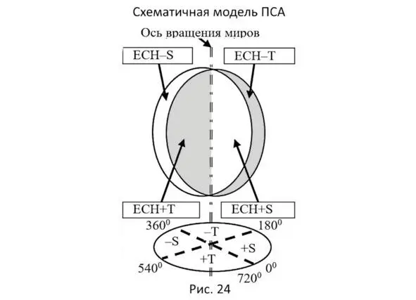 Формирование ЕСНS Материей этот материальнопространственный процесс мы уже - фото 29