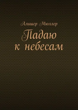 Алишер Мюллер Падаю к небесам обложка книги