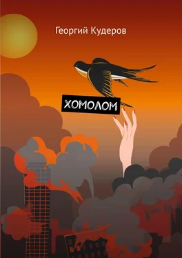 Георгий Кудеров Хомолом обложка книги