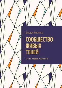 Бауди Маггир СООБЩЕСТВО ЖИВЫХ ТЕНЕЙ. Книга первая. Каролина обложка книги