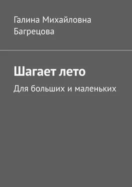 Галина Багрецова Шагает лето. Для больших и маленьких обложка книги