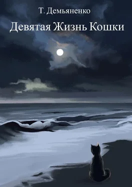 Татьяна Демьяненко Девятая жизнь кошки обложка книги
