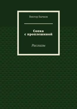 Виктор Бычков Сопка с проплешиной. Рассказы обложка книги