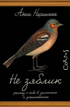 Анна Наринская Не зяблик. Рассказ о себе в заметках и дополнениях обложка книги