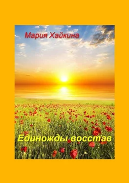 Мария Хайкина Единожды восстав обложка книги