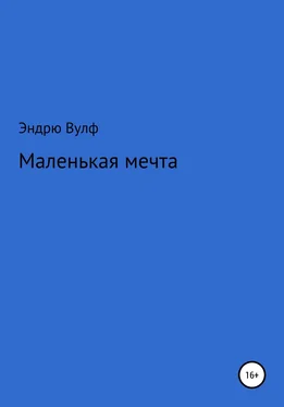 Эндрю Вулф Маленькая мечта обложка книги