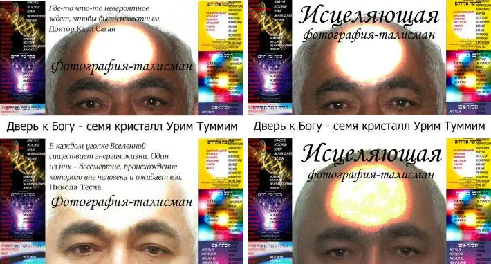Что такое сигнатурная клеткаСигнатурные клетки это самые важные клетки в - фото 17