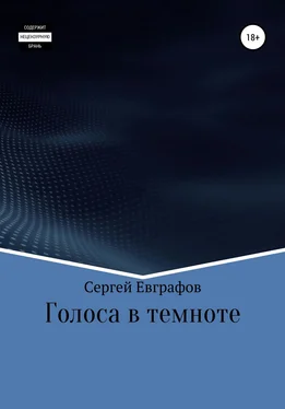 Сергей Евграфов Голоса в темноте обложка книги