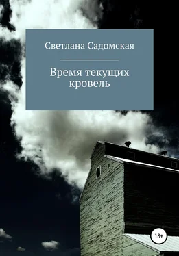 Светлана Садомская Время текущих кровель обложка книги