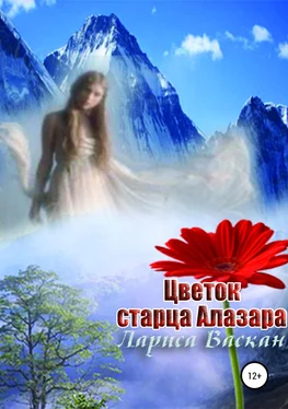 Лариса Васкан Цветок старца Алазара обложка книги