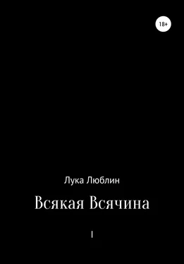 Лука Люблин Всякая Всячина I обложка книги