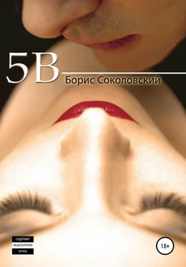 Борис Соколовский 5B обложка книги