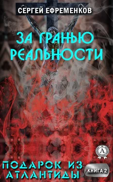 Сергей Ефременков За гранью реальности обложка книги