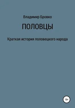 Владимир Бровко Половцы обложка книги