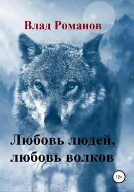 Влад Романов Любовь людей, любовь волков обложка книги