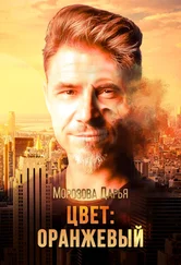 Дарья Морозова - Цвет - оранжевый