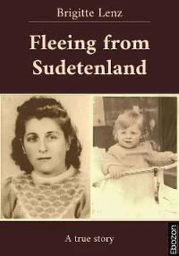 Brigitte Lenz Fleeing from Sudetenland обложка книги
