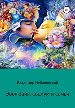 Владимир Небадонский Эволюция, социум и семья обложка книги