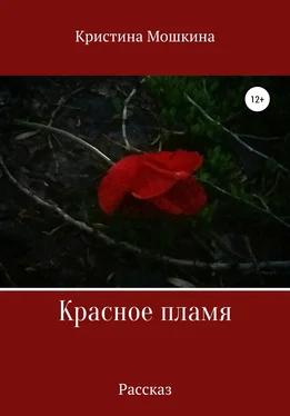 Кристина Мошкина Красное пламя обложка книги