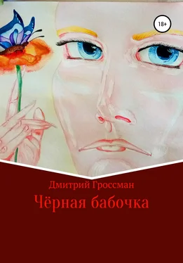 Дмитрий Гроссман Чёрная бабочка обложка книги