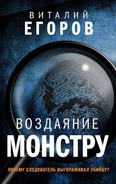 Виталий Егоров Воздаяние монстру обложка книги