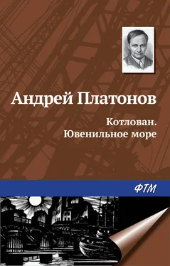 Андрей Платонов Котлован. Ювенильное море обложка книги