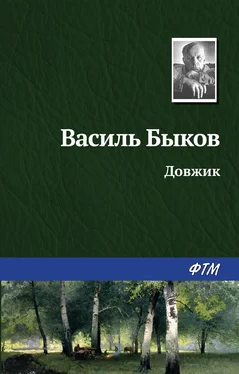 Василий Быков Довжик обложка книги