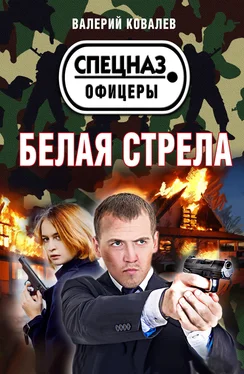Валерий Ковалев Белая стрела обложка книги