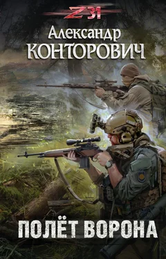 Александр Конторович Полет ворона обложка книги