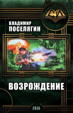 Владимир Поселягин Возрождение обложка книги