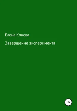 Елена Конева Завершение эксперимента обложка книги